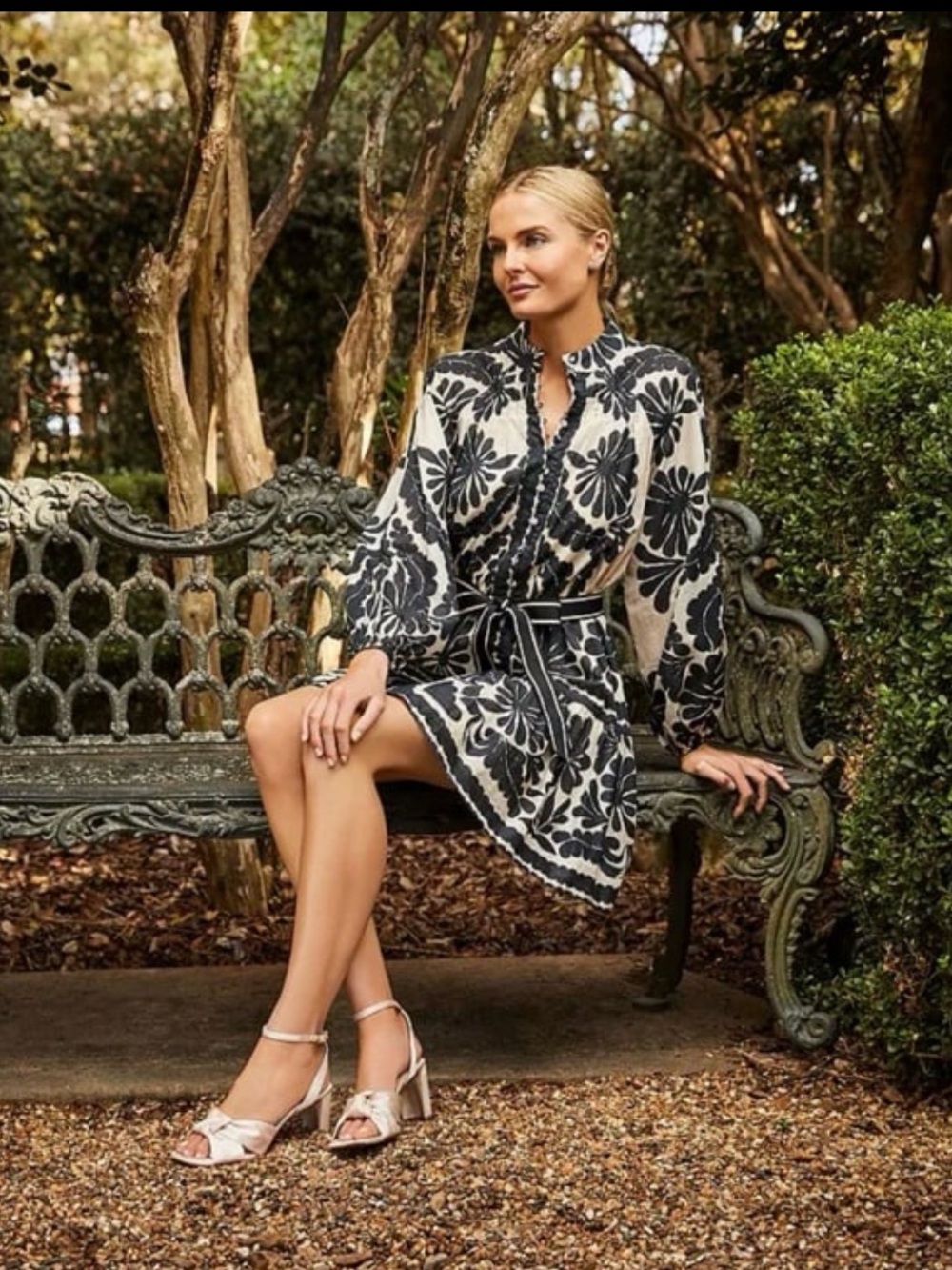 NWT Antonio Melani Brynn Printed Cotton Voile Printed Mock Neck Drop Waist Dress - Picture 4 of 7